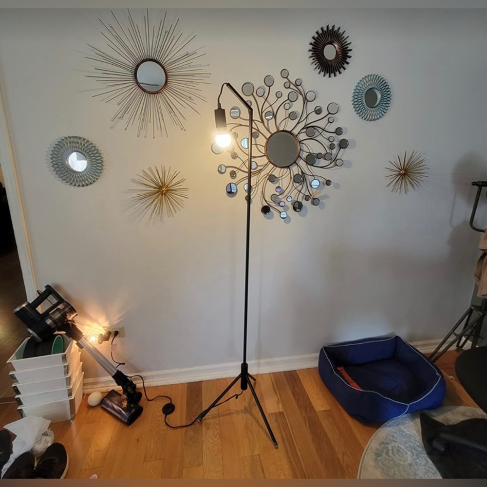 brand new Floor Lamp & smart bulb firm price